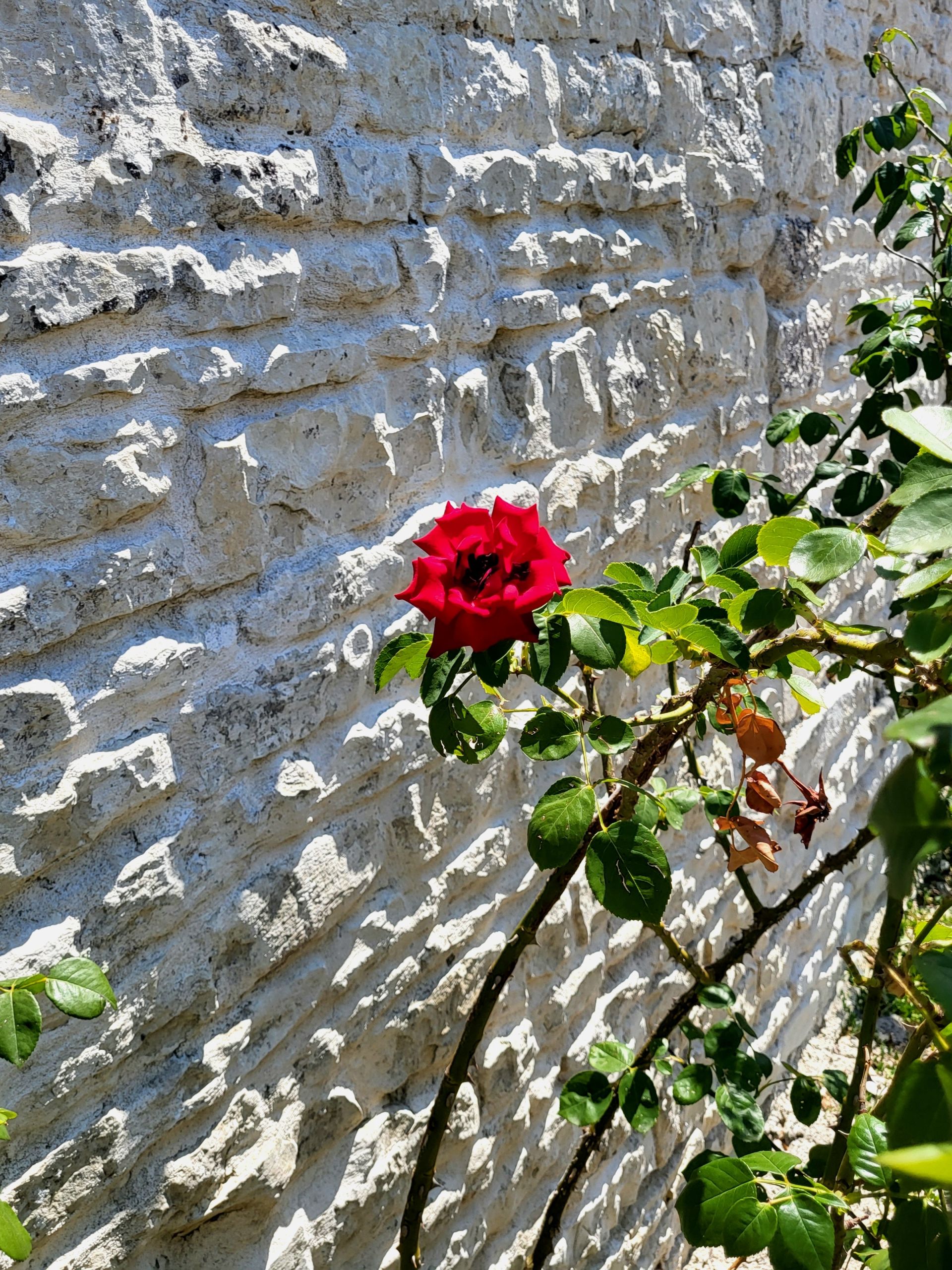 Galleria fotografica