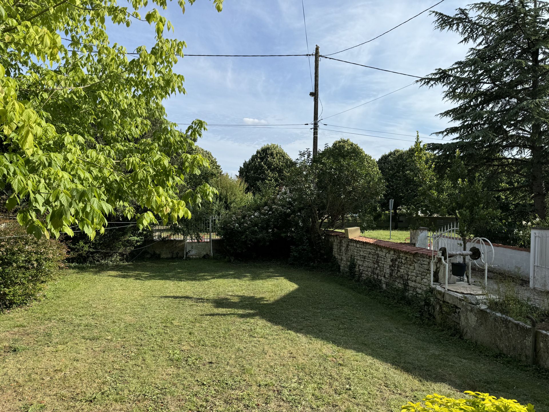 Galleria fotografica