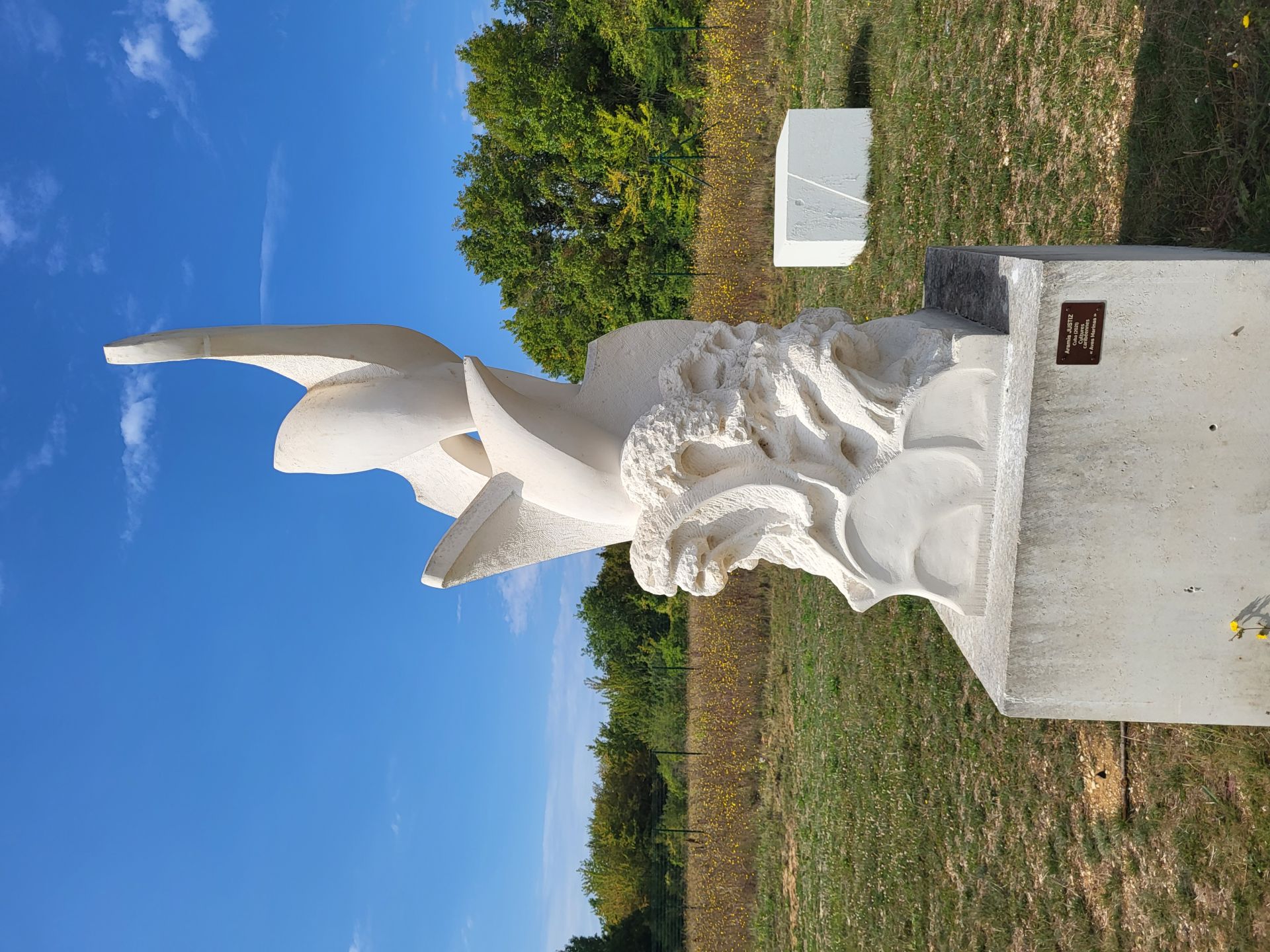 Galleria fotografica