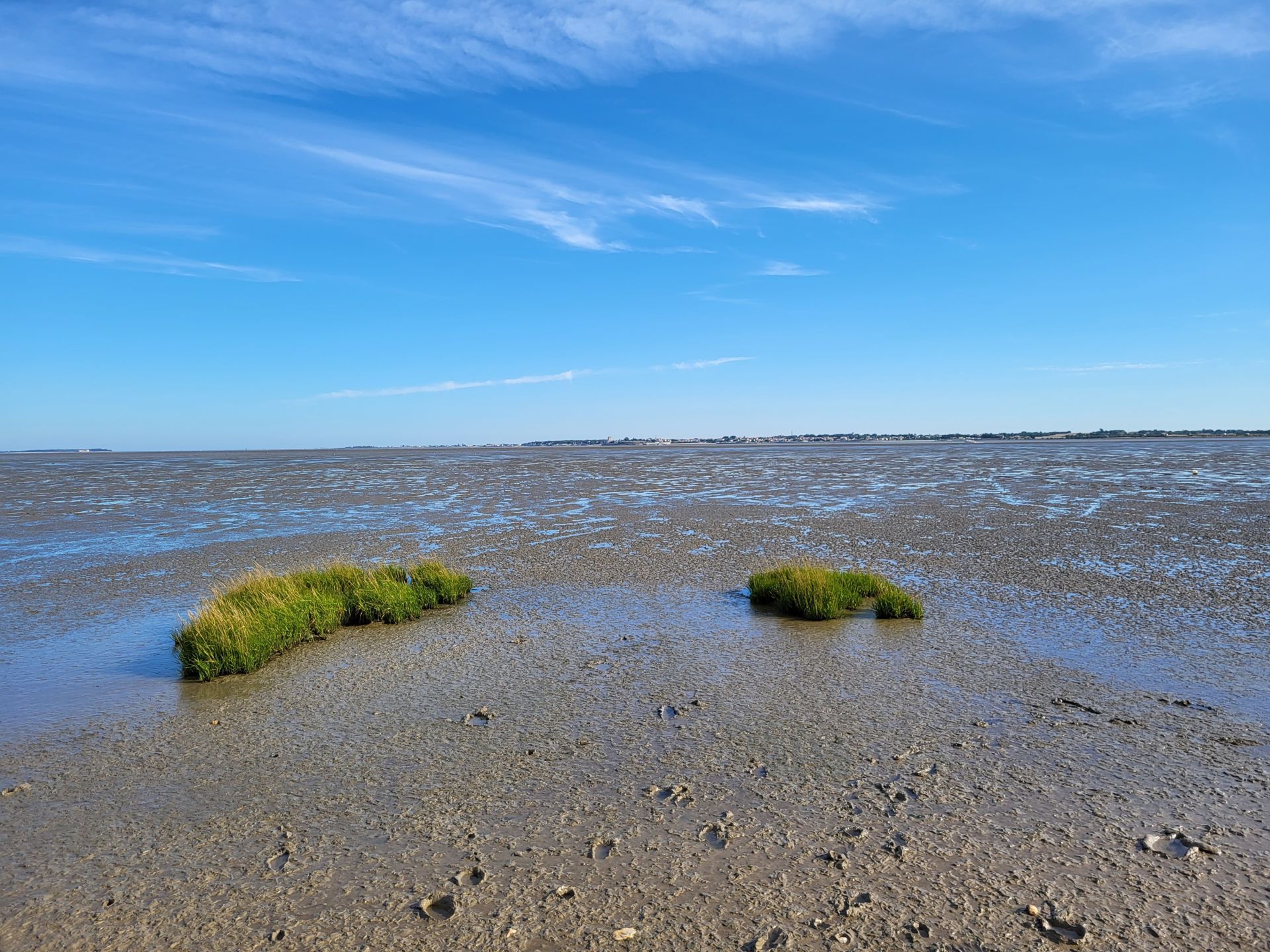 Galleria fotografica