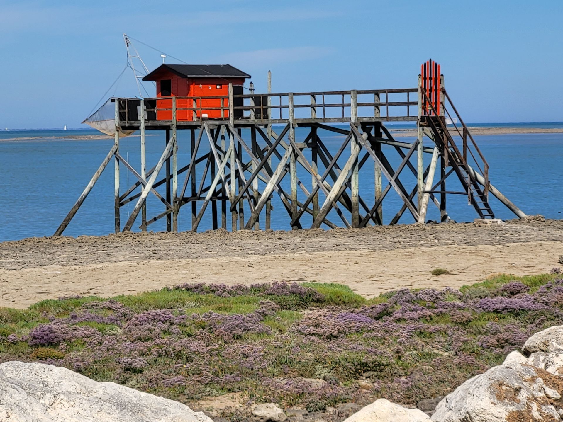 Galleria fotografica