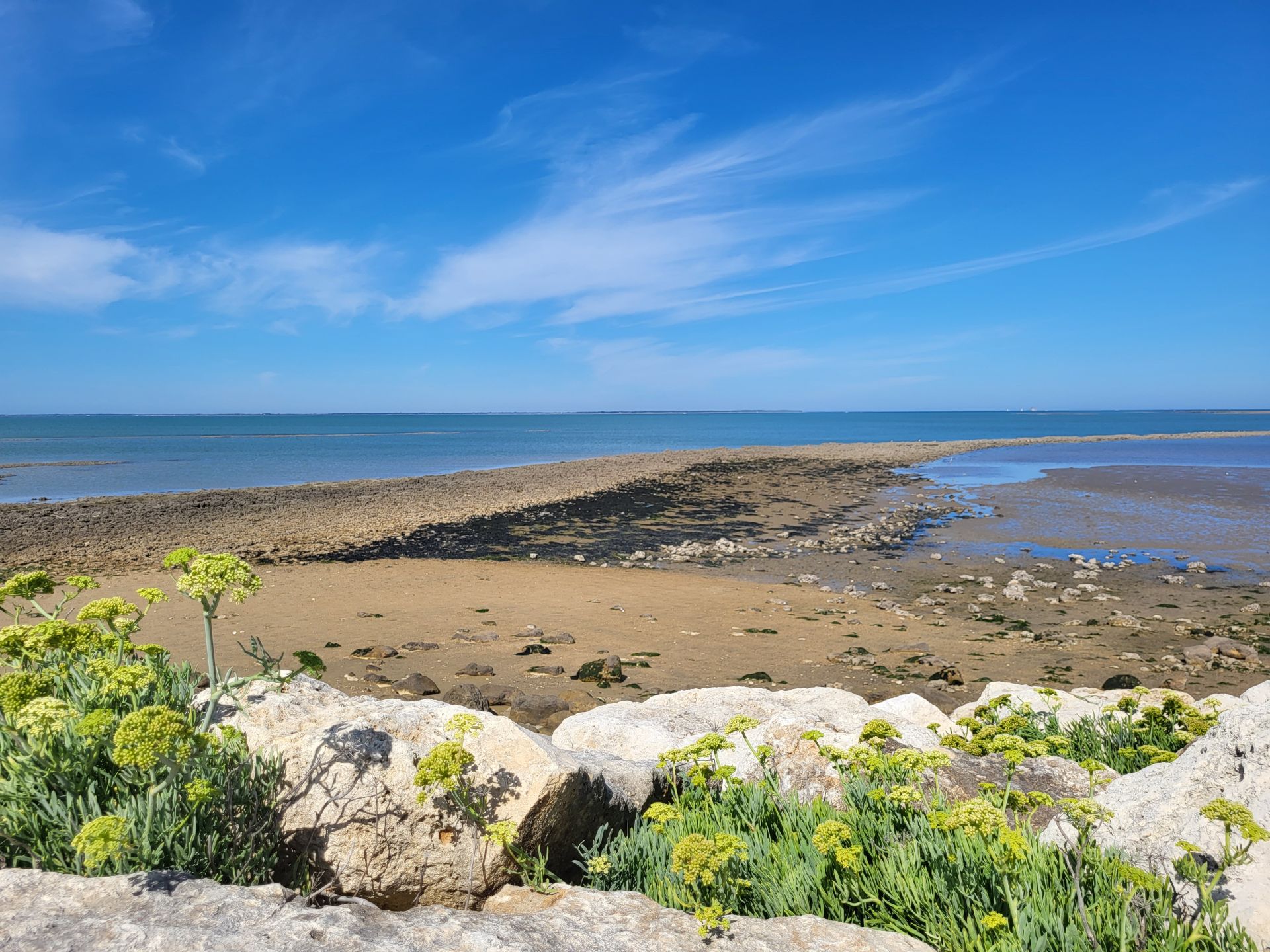 Galleria fotografica